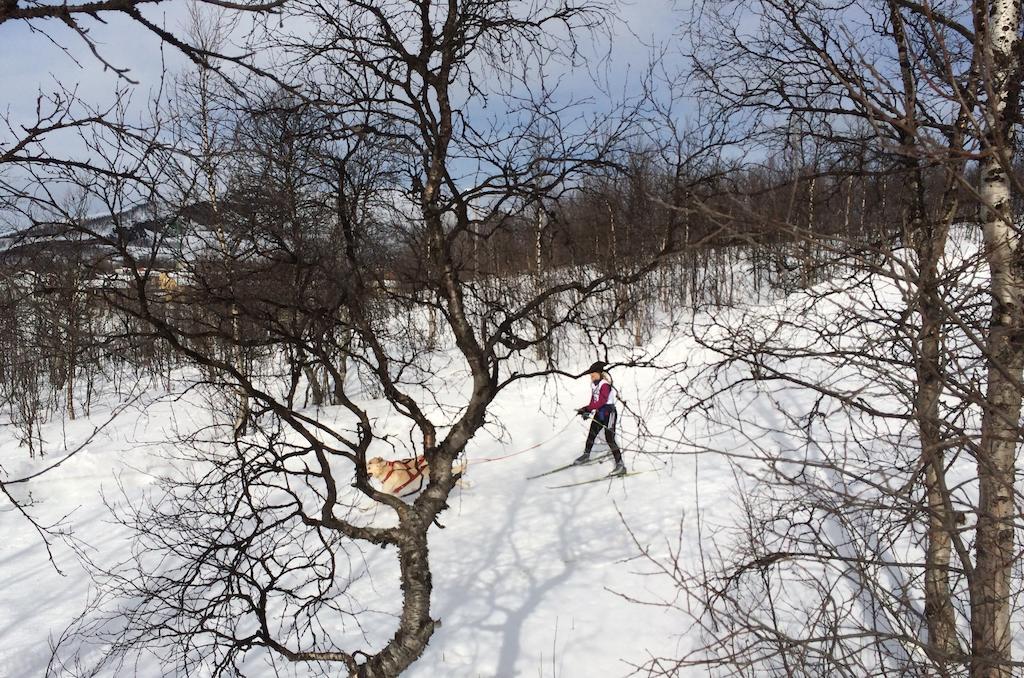 Stf Malmfaeltens Folkhoegskola Kiruna Oda fotoğraf